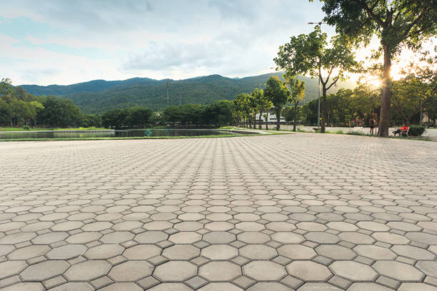 Best Local Driveway Pavers  in Fairplay, GA